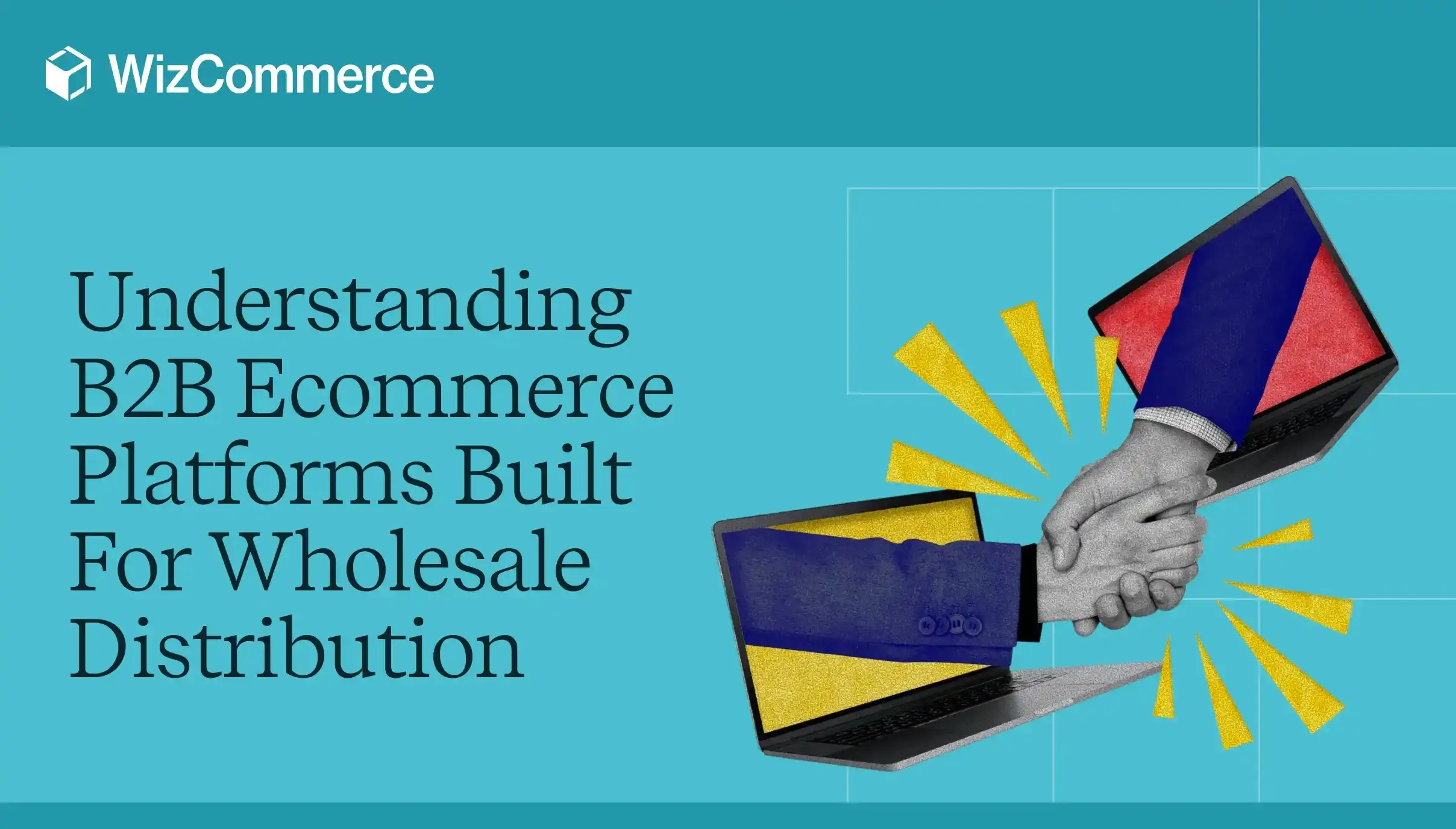 Understanding B2B Ecommerce Platforms Built For Wholesale Distribution