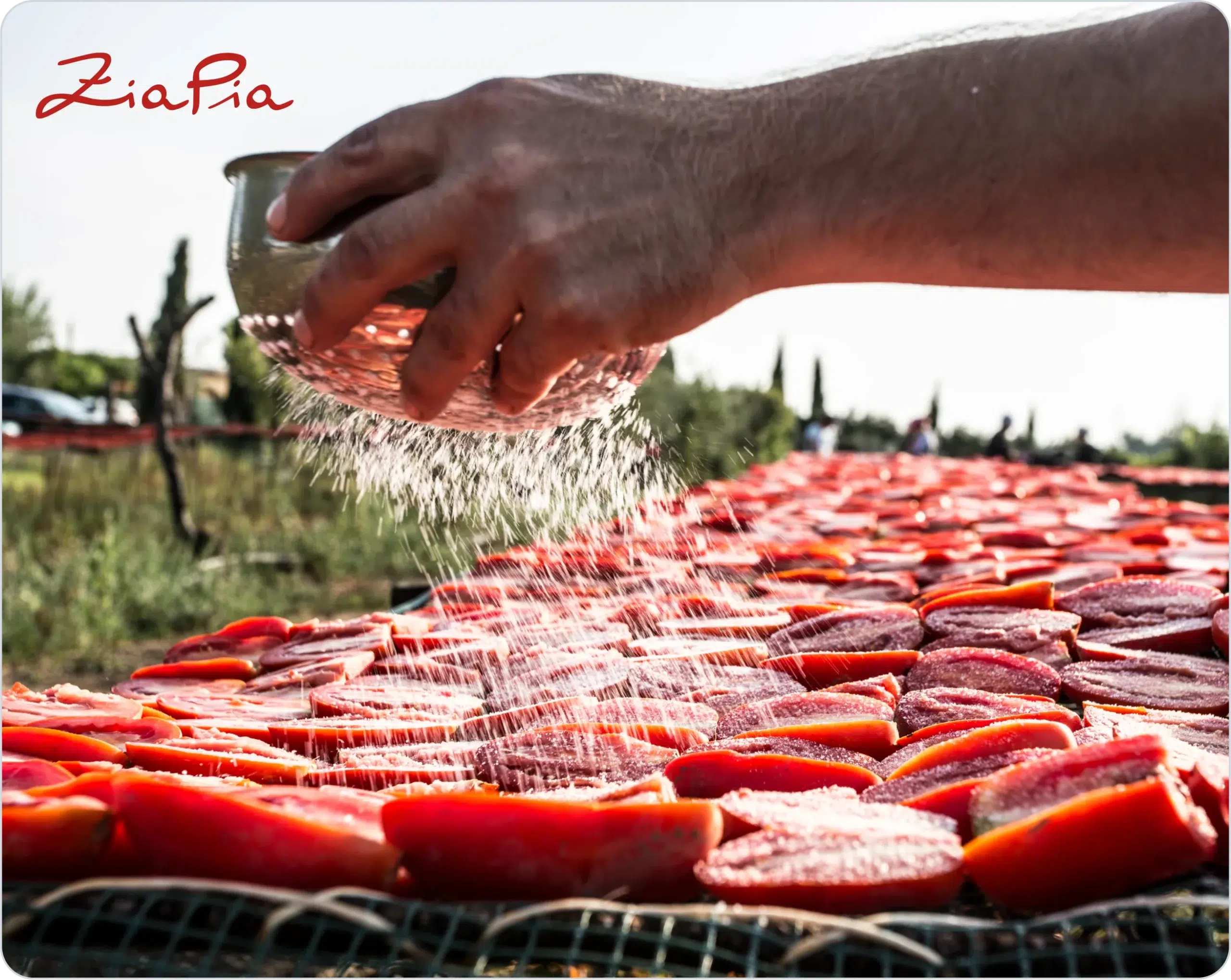 Frame-1410103551-scaled