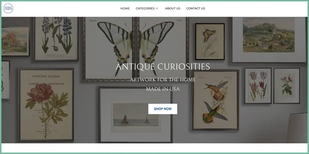 Antique Curiosities - Vintage and antique items for collectors