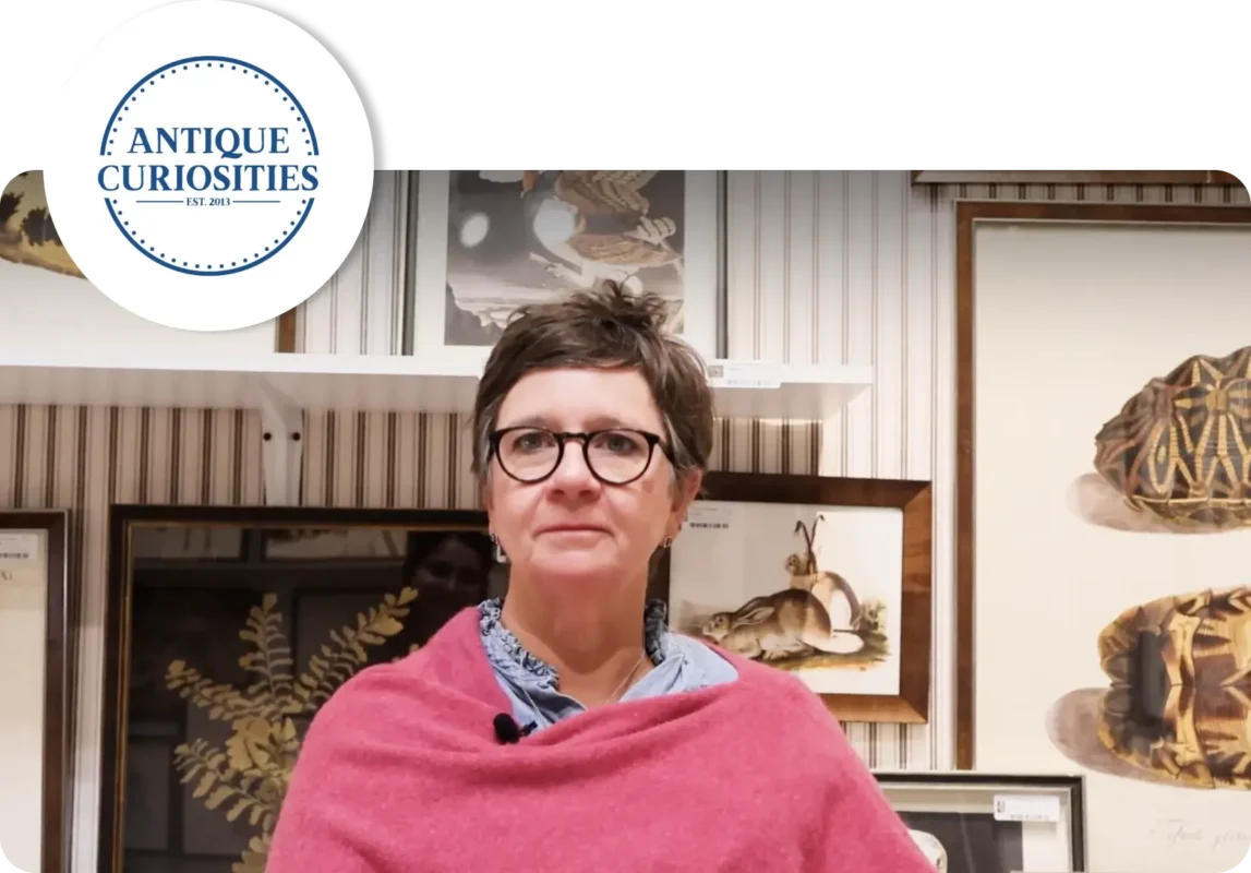 Antique Curiosities success case study
