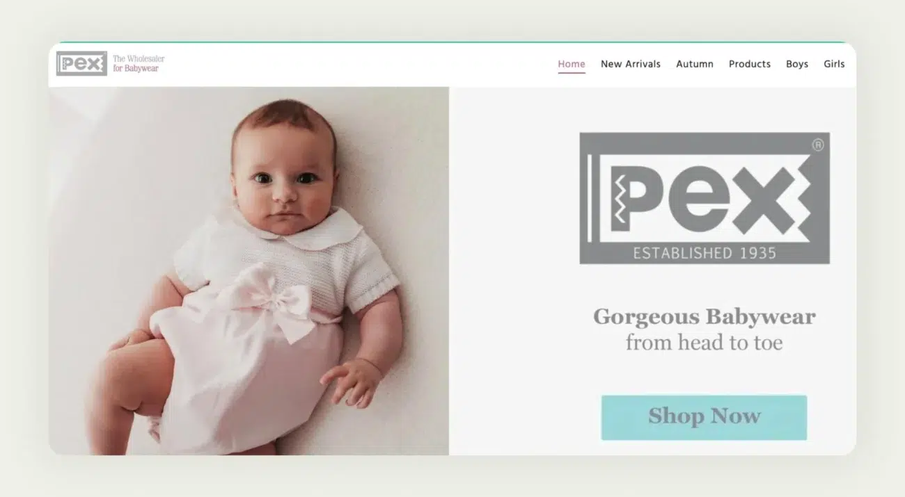 Pex Wholesale UK platform specializing in baby clothing and children's products for European markets