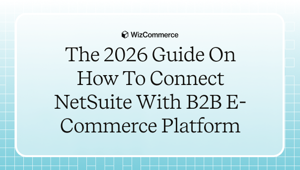 netsuite b2b erp integration